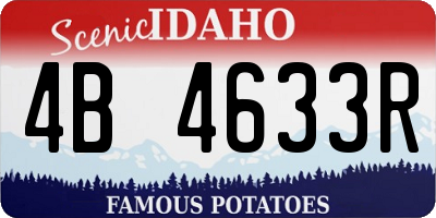 ID license plate 4B4633R