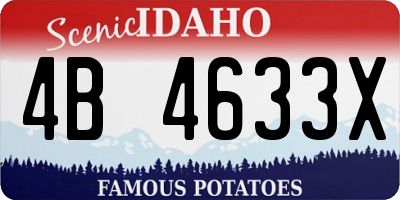 ID license plate 4B4633X