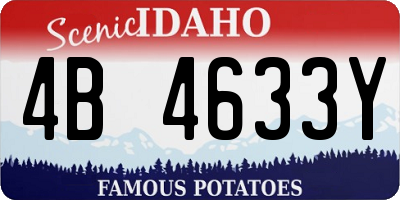 ID license plate 4B4633Y