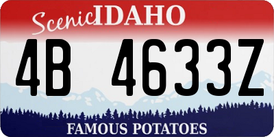 ID license plate 4B4633Z