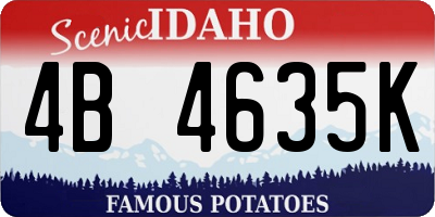 ID license plate 4B4635K