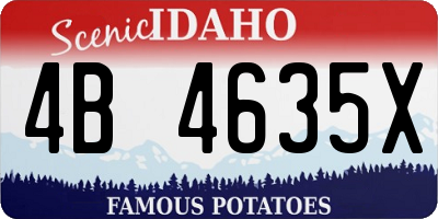 ID license plate 4B4635X