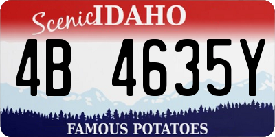 ID license plate 4B4635Y
