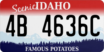 ID license plate 4B4636C