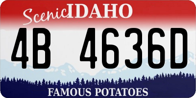 ID license plate 4B4636D
