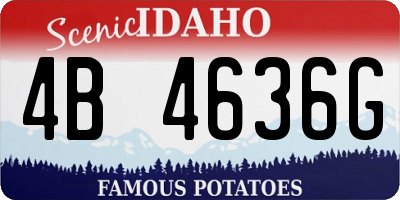 ID license plate 4B4636G
