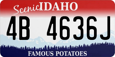 ID license plate 4B4636J