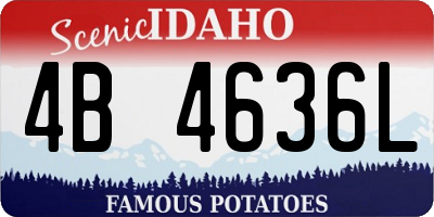 ID license plate 4B4636L