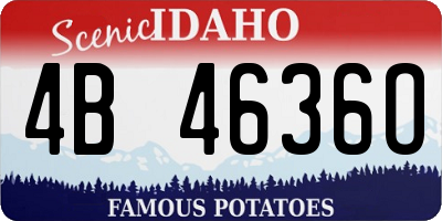 ID license plate 4B4636O