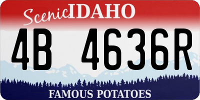 ID license plate 4B4636R