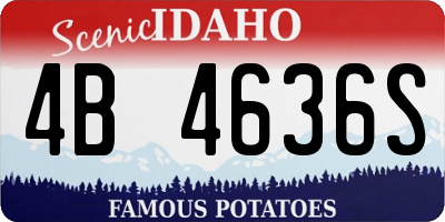 ID license plate 4B4636S