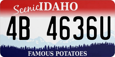ID license plate 4B4636U