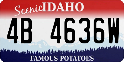 ID license plate 4B4636W