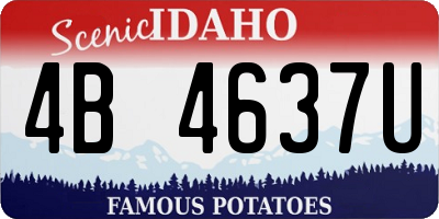 ID license plate 4B4637U