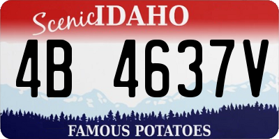 ID license plate 4B4637V