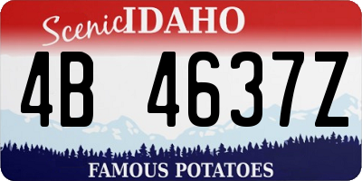 ID license plate 4B4637Z