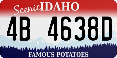 ID license plate 4B4638D