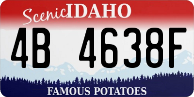 ID license plate 4B4638F