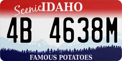 ID license plate 4B4638M