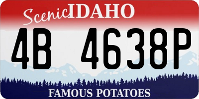 ID license plate 4B4638P