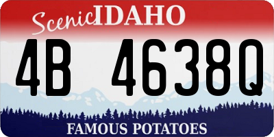 ID license plate 4B4638Q