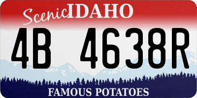ID license plate 4B4638R