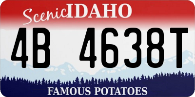 ID license plate 4B4638T