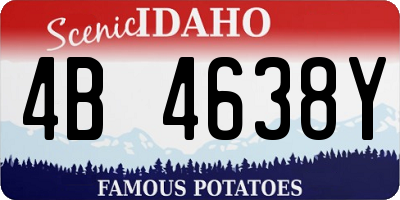 ID license plate 4B4638Y