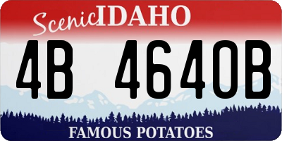 ID license plate 4B4640B