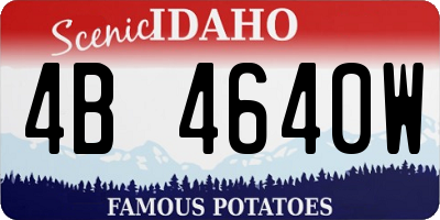 ID license plate 4B4640W
