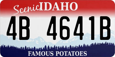 ID license plate 4B4641B