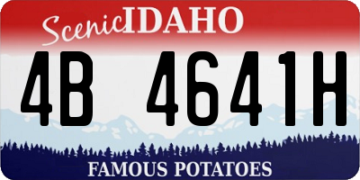 ID license plate 4B4641H