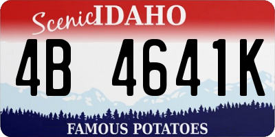 ID license plate 4B4641K