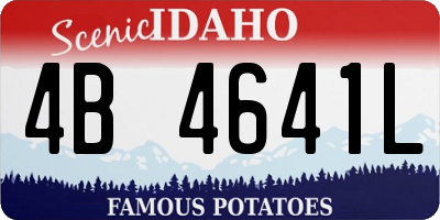 ID license plate 4B4641L