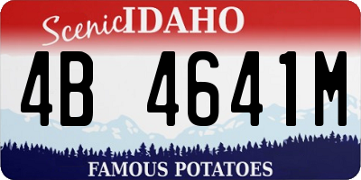 ID license plate 4B4641M