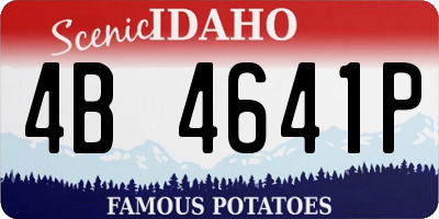 ID license plate 4B4641P