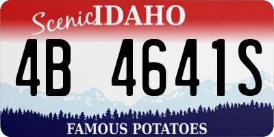 ID license plate 4B4641S