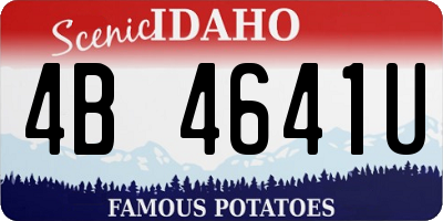 ID license plate 4B4641U