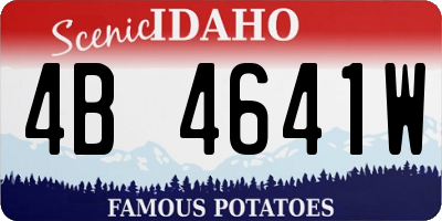 ID license plate 4B4641W