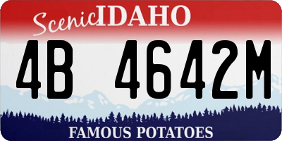 ID license plate 4B4642M