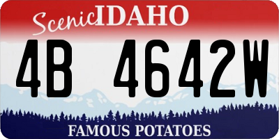 ID license plate 4B4642W