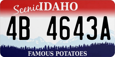 ID license plate 4B4643A
