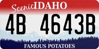 ID license plate 4B4643B