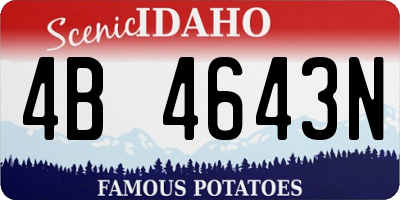 ID license plate 4B4643N