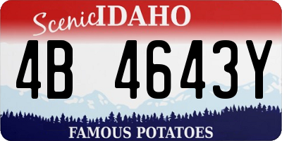 ID license plate 4B4643Y