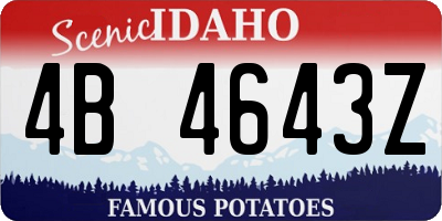 ID license plate 4B4643Z