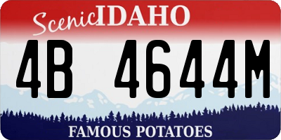 ID license plate 4B4644M
