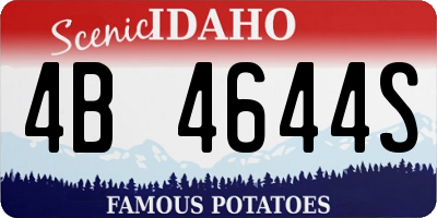 ID license plate 4B4644S