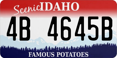 ID license plate 4B4645B