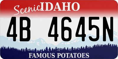 ID license plate 4B4645N